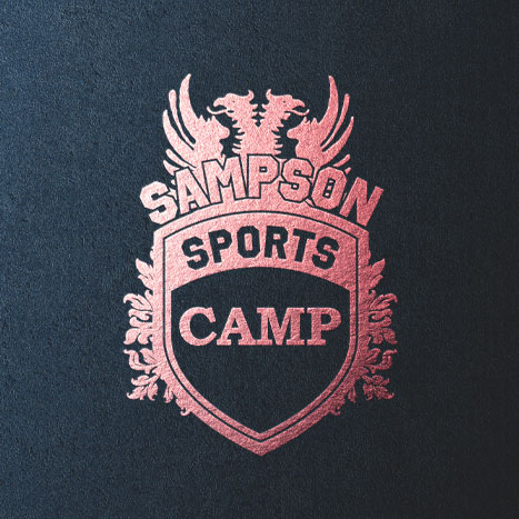Spring Break Camp Indoor (Airpark Soccerplex) April 14th - 18th Ages 6-14
